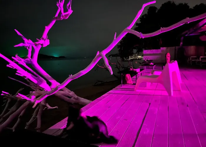Beach Houses